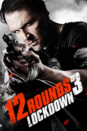 12 Rounds 3 Lockdown 2015 Hindi Dual Audio | 4K Ultra HD BluRay [780MB]