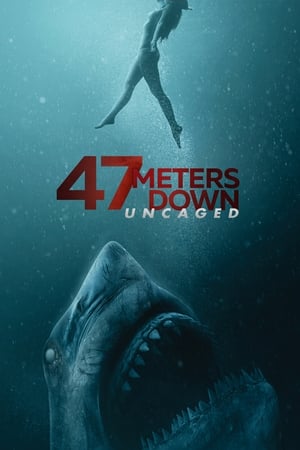 47 Meters Down: Uncaged (2019) Hindi Dual Audio | 4K Ultra HD BluRay [950MB]