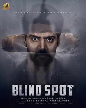 Blind Spot 2025 Hindi Dual Audio WEB-DL | 4K Ultra HD