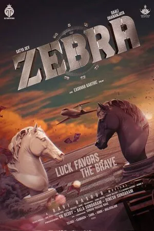 Zebra 2024 Hindi Dual Audio WEB-DL | 4K Ultra HD