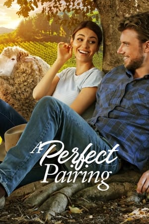A Perfect Pairing (2022) Hindi Dual Audio HDRip | 4K Ultra HD – 480p