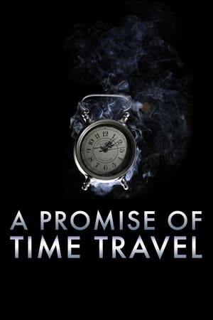 A Promise of Time Travel 2016 Hindi Dual Audio | 4K Ultra HD Web-DL [750MB]