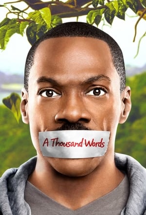 A Thousand Words (2012) Hindi Dual Audio | 4K Ultra HD BluRay [800MB]