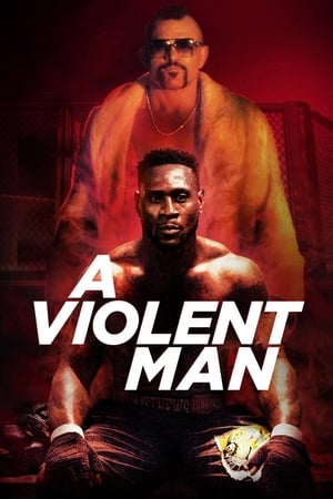 A Violent Man 2017 Hindi Dual Audio | 4K Ultra HD WebRip [960MB]