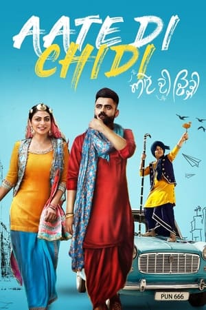 Aate di chidi (2018) Punjabi Movie | 4K Ultra HD HDRip - [400MB]