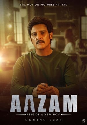 Aazam (2023) Hindi Dual Audio HDRip | 4K Ultra HD – 480p