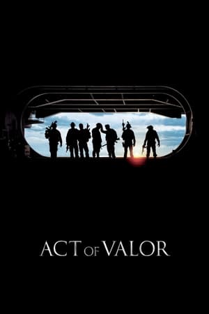 Act of Valor (2012) Hindi Dual Audio | 4K Ultra HD BluRay [1.1GB]