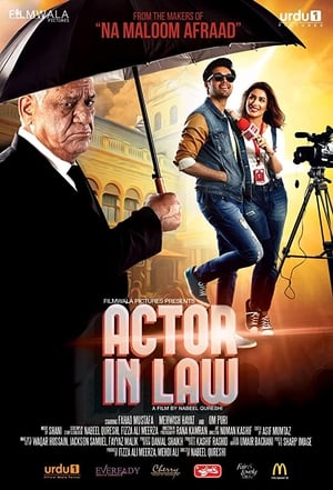 Actor in Law (2016) Movie Pakistani HDRip | 4K Ultra HD [700MB] Download