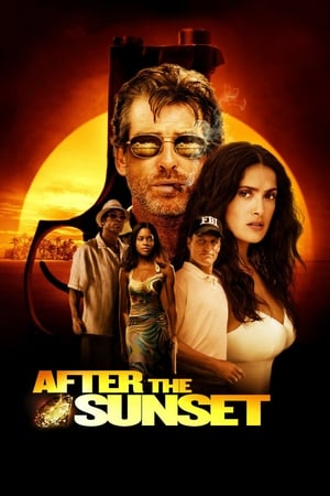 After The Sunset (2004) Hindi Dual Audio | 4K Ultra HD BluRay 320MB
