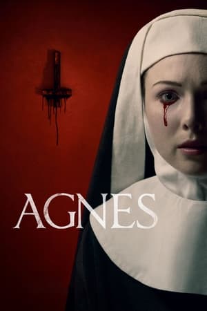 Agnes (2021) Hindi Dual Audio HDRip | 4K Ultra HD – 480p