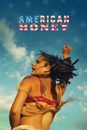 American Honey (2016) Hindi Dual Audio | 4K Ultra HD BluRay 500MB
