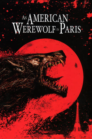An American Werewolf in Paris 1997 Hindi Dual Audio | 4K Ultra HD BluRay [860MB]