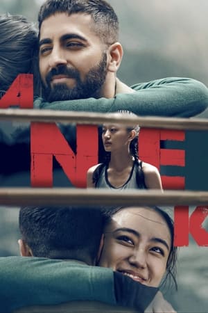 Anek 2022 Hindi Movie HDRip | 4K Ultra HD – 480p
