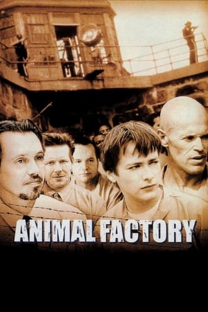 Animal Factory (2000) Hindi Dual Audio | 4K Ultra HD BluRay [950MB]