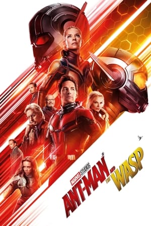 Ant Man and the Wasp (2018) Hindi (Org) Dual Audio | 4K Ultra HD BluRay [1.1GB]