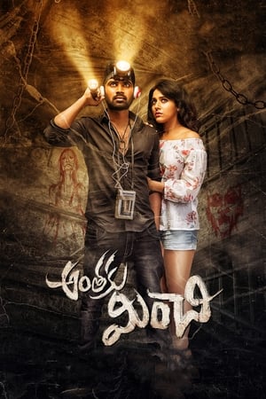 Anthaku Minchi (2018) Hindi Dubbed | 4K Ultra HD HDRip [1GB]