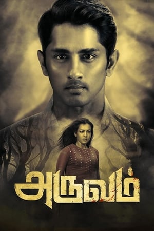 Aruvam (2019) (Hindi – Tamil) Dual Audio | 4K Ultra HD UnCut HDRip 400MB