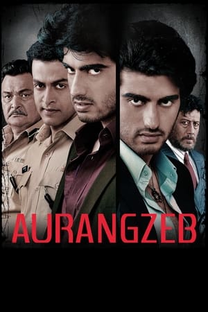 Aurangzeb (2013) Hindi Movie | 4K Ultra HD HDRip – [370MB]