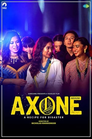 Axone 2019 Hindi Movie | 4K Ultra HD HDRip – [300MB]