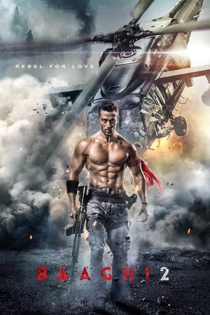 Baaghi 2 2018 Movie | 4K Ultra HD HDRip- [400MB]