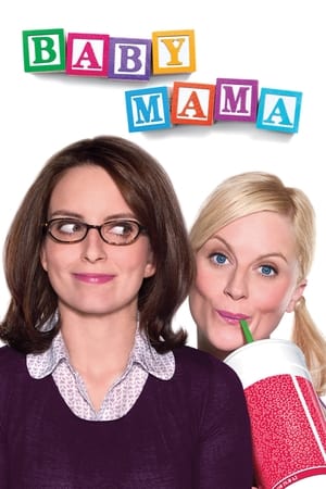 Baby Mama (2008) Hindi Dual Audio | 4K Ultra HD BluRay 300MB