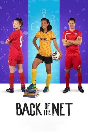 Back of the Net (2019) Hindi Dual Audio | 4K Ultra HD Web-DL [800MB]