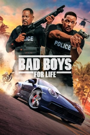 Bad Boys for Life (2020) Hindi (ORG) Dual Audio | 4K Ultra HD BluRay [1.2GB]