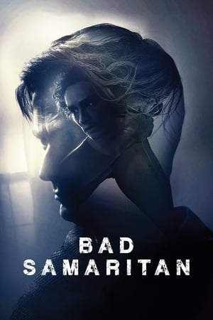 Bad Samaritan (2018) Hindi Dual Audio | 4K Ultra HD BluRay 400MB