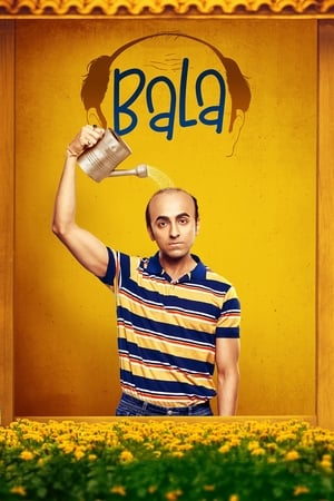 Bala 2019 Hindi Movie | 4K Ultra HD HDRip x264 [1GB]