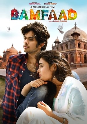 Bamfaad 2020 Hindi Movie | 4K Ultra HD HDRip - [300MB]
