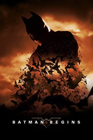 Batman Begins (2005) Hindi Dual Audio Bluray | 4K Ultra HD [980MB] Download