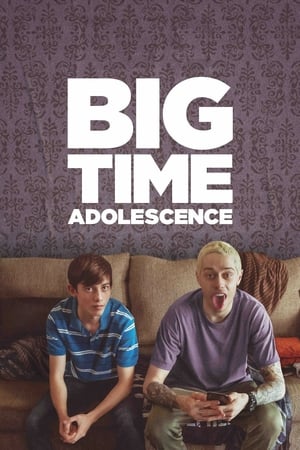 Big Time Adolescence (2019) Hindi Dual Audio HDRip | 4K Ultra HD – 480p