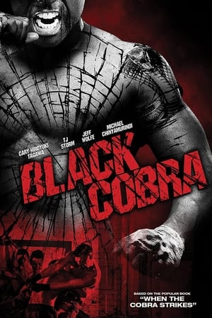 Black Cobra (2012) Hindi Dual Audio | 4K Ultra HD BluRay 300MB