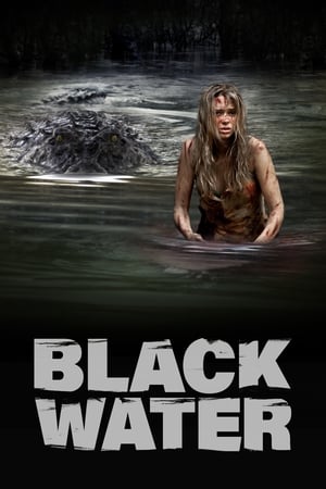 Black Water (2007) Hindi Dual Audio | 4K Ultra HD BluRay 300MB