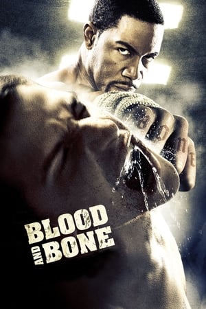 Blood and Bone (2009) Hindi Dual Audio | 4K Ultra HD BluRay 300MB