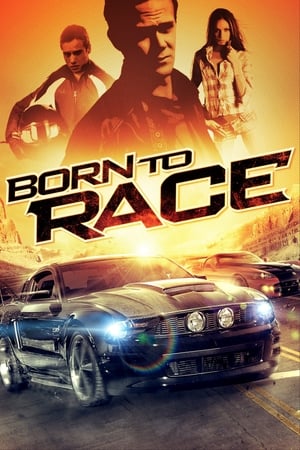 Born to Race 2011 Hindi Dual Audio | 4K Ultra HD BluRay [610MB]