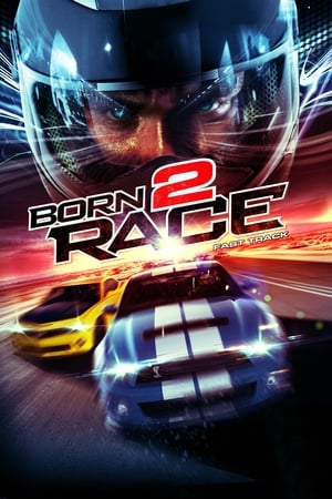 Born to Race Fast Track 2014 Hindi Dual Audio | 4K Ultra HD BluRay 320MB