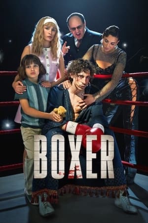 Boxer (2024) Hindi Dual Audio HDRip | 4K Ultra HD – 720p – 480p