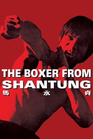 Boxer from Shantung (1972) Hindi Dual Audio | 4K Ultra HD BluRay 400MB