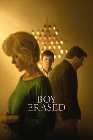 Boy Erased (2018) Hindi Dual Audio | 4K Ultra HD BluRay [900MB]