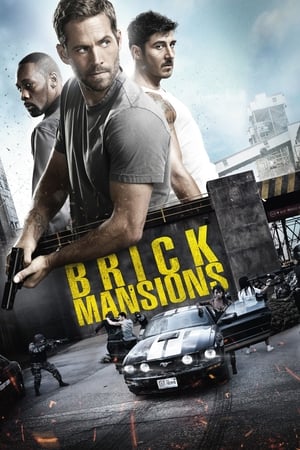 Brick Mansions (2014) Hindi Dual Audio | 4K Ultra HD BluRay [950MB]