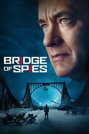 Bridge of Spies (2015) Hindi Dual Audio | 4K Ultra HD BluRay [1.1GB] ESubs