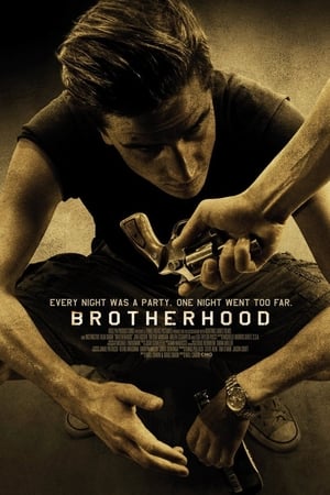 Brotherhood (2010) Hindi Dual Audio HDRip | 4K Ultra HD – 480p
