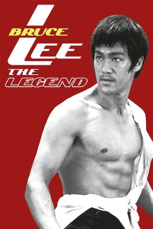 Bruce Lee the Legend 1984 Hindi Dual Audio | 4K Ultra HD HDTVRip [1GB]