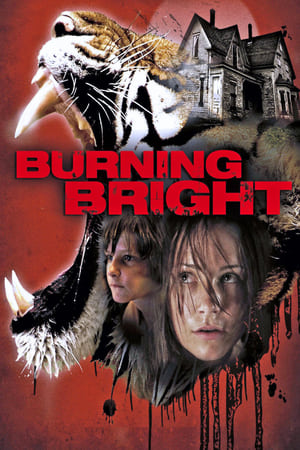 Burning Bright (2010) Hindi Dual Audio | 4K Ultra HD BluRay [750MB]
