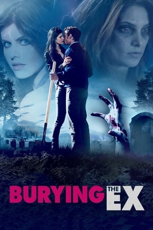 Burying the Ex 2014 Hindi (HQ Dubbed) | 4K Ultra HD HDRip [830MB]