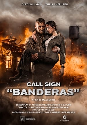 Call Sign Banderas (2018) Hindi Dual Audio HDRip | 4K Ultra HD – 480p