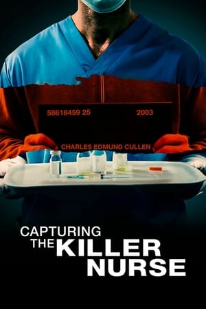 Capturing the Killer Nurse (2022) Hindi Dual Audio HDRip | 4K Ultra HD – 480p