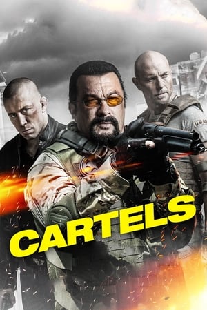Cartels 2017 Hindi Dual Audio | 4K Ultra HD BluRay 300MB