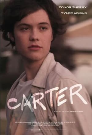Carter (2022) Hindi Dual Audio HDRip | 4K Ultra HD – 480p